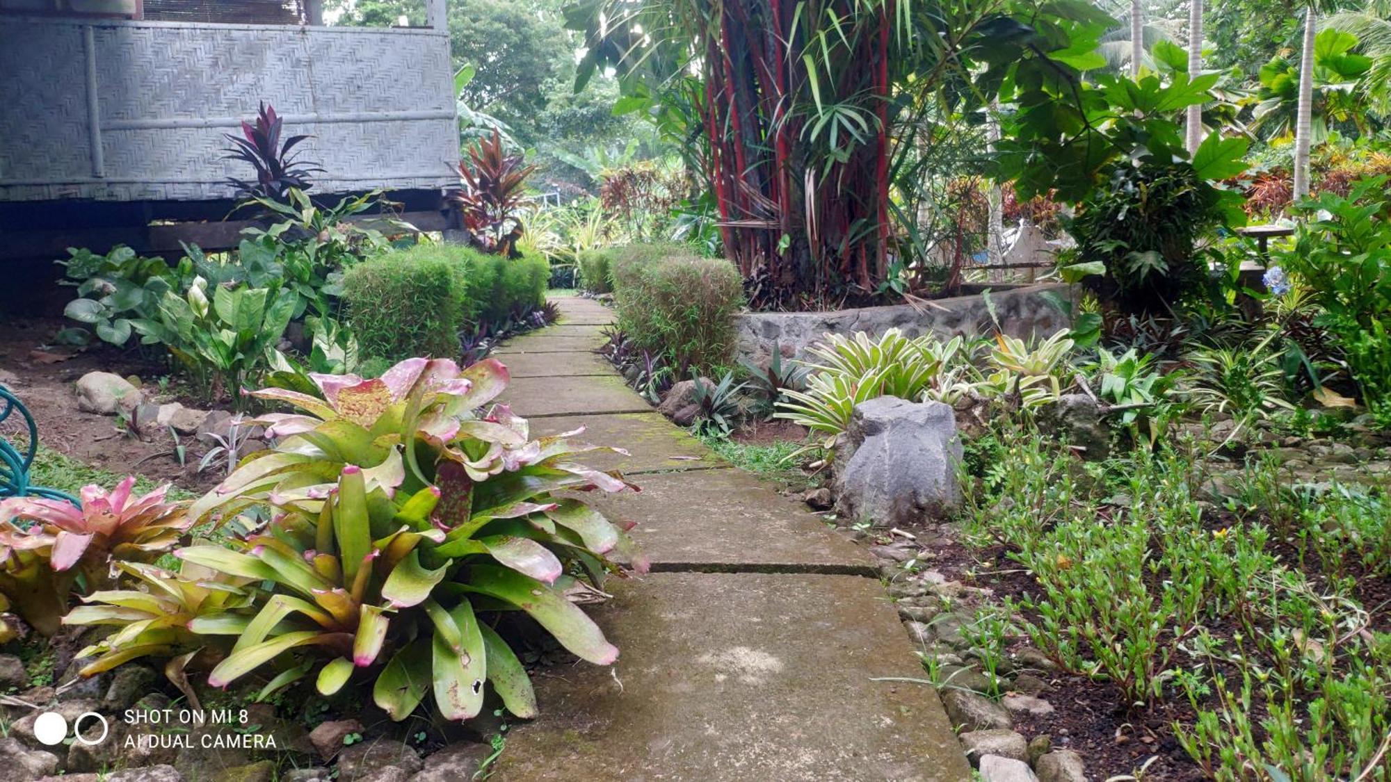 Sun House Rental Mambajao 外观 照片