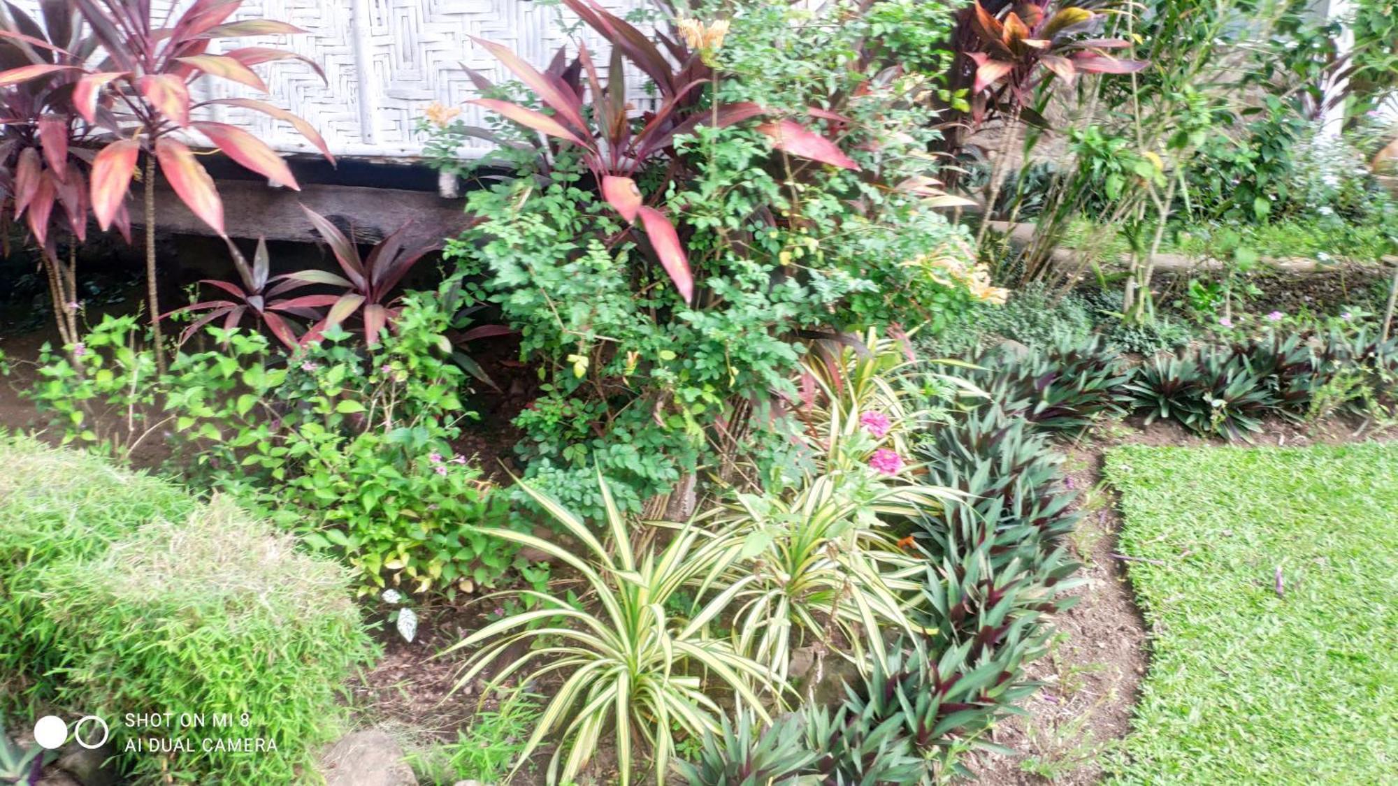 Sun House Rental Mambajao 外观 照片