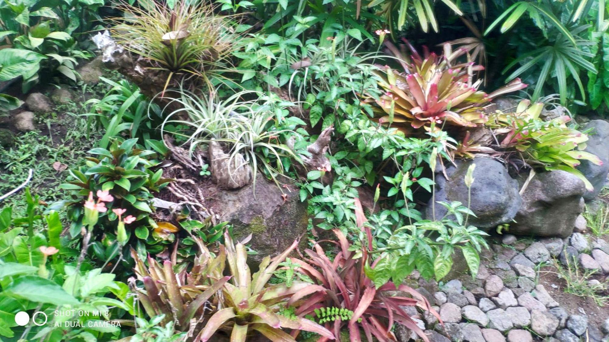 Sun House Rental Mambajao 外观 照片