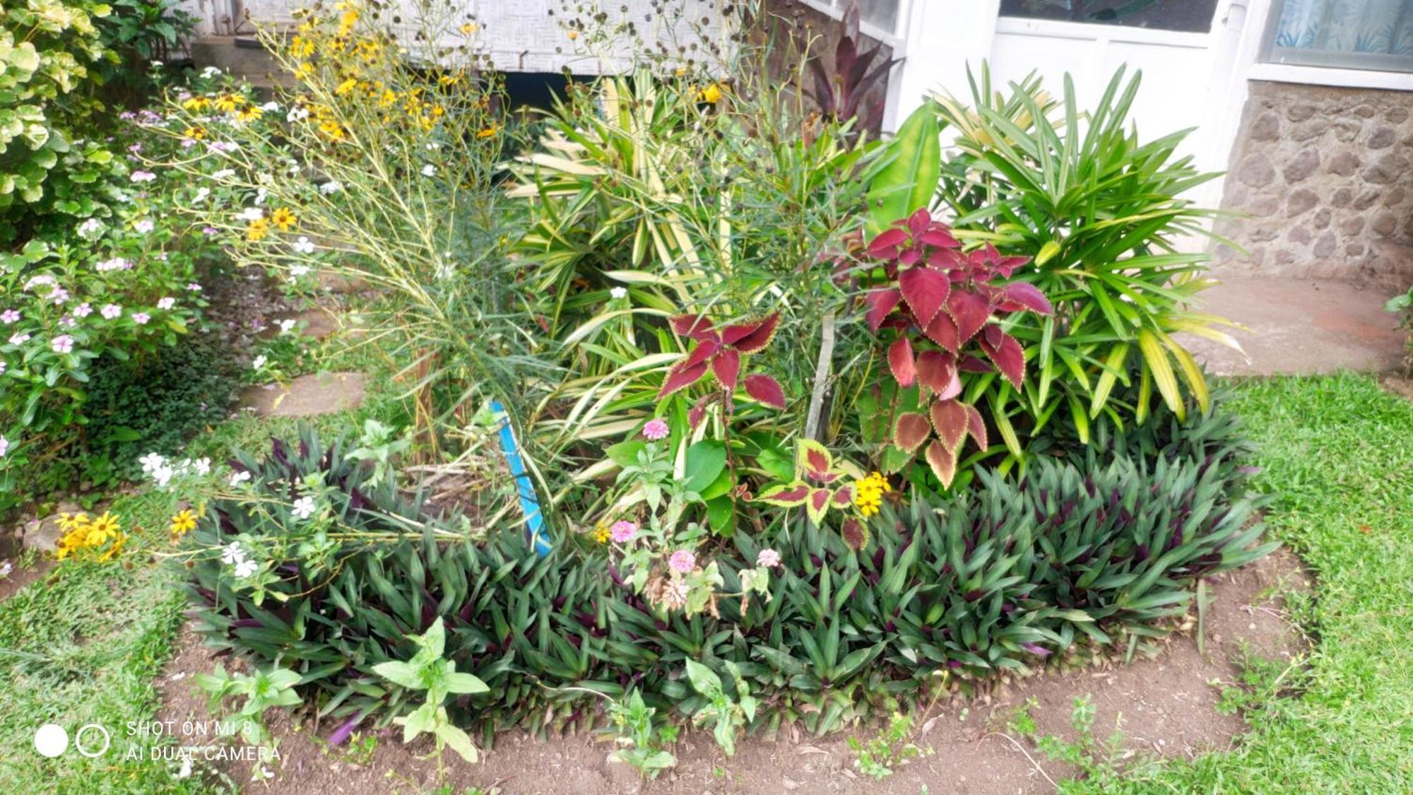 Sun House Rental Mambajao 外观 照片